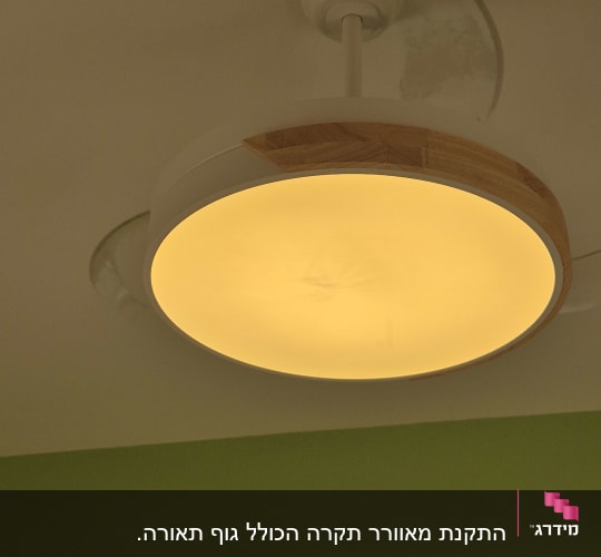 מנורה עגולה מותקנת על תקרה ירוקה